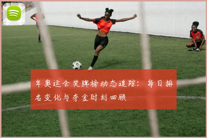 年奥运会奖牌榜动态追踪：每日排名变化与夺金时刻回顾