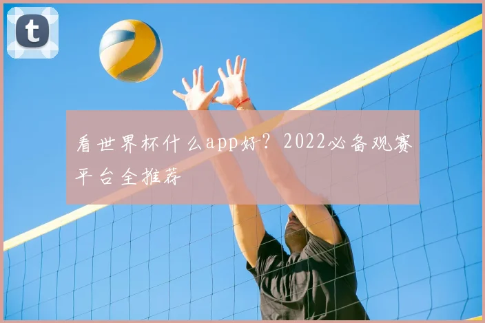 看世界杯什么app好？2022必备观赛平台全推荐