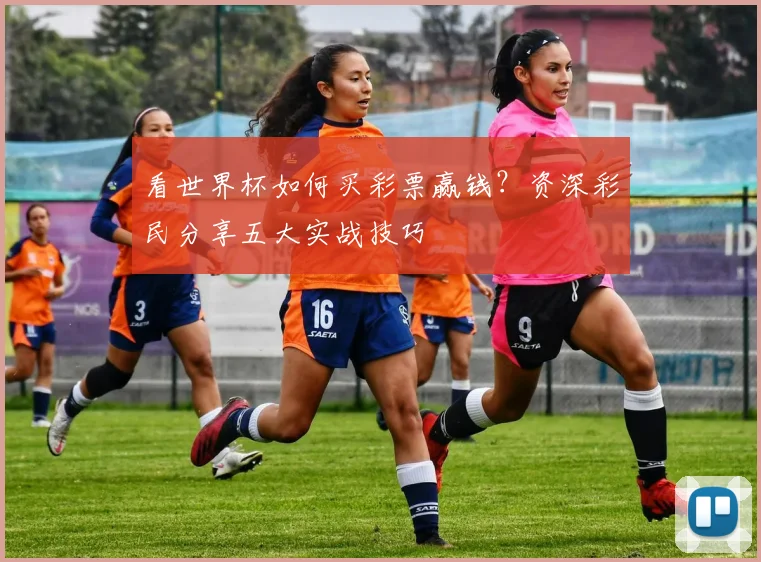 看世界杯如何买彩票赢钱？资深彩民分享五大实战技巧