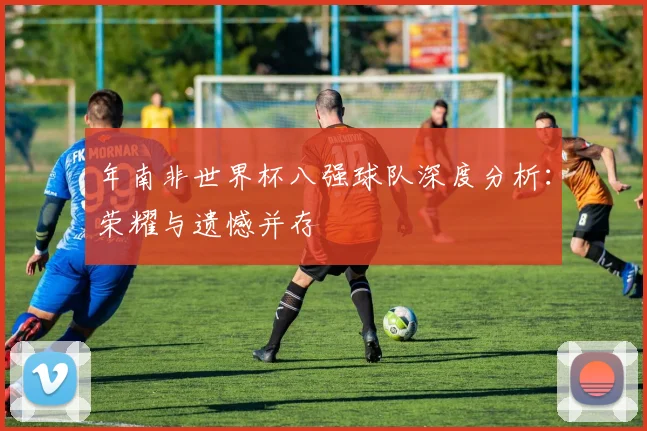 年南非世界杯八强球队深度分析:荣耀与遗憾并存