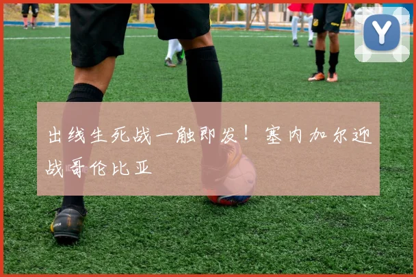出线生死战一触即发！塞内加尔迎战哥伦比亚