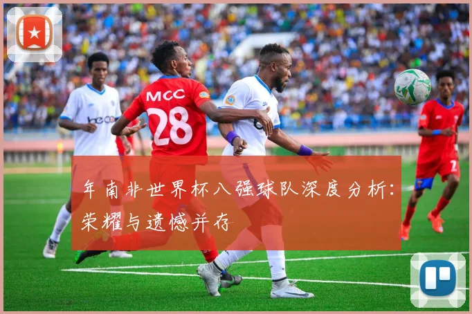 年南非世界杯八强球队深度分析:荣耀与遗憾并存