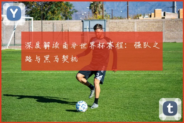 深度解读南非世界杯赛程：强队之路与黑马契机