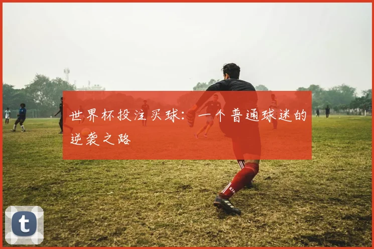 世界杯投注买球：一个普通球迷的逆袭之路